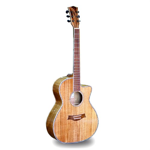 Đàn Guitar Acoustic LuthierV LV250 (Full Gỗ Điệp)